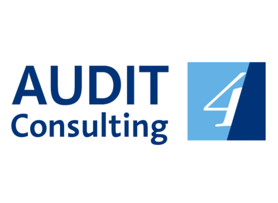 AUDIT CONSULTING